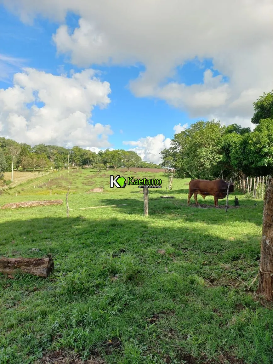 Chácara, 2 quartos, 5 hectares - Foto 8