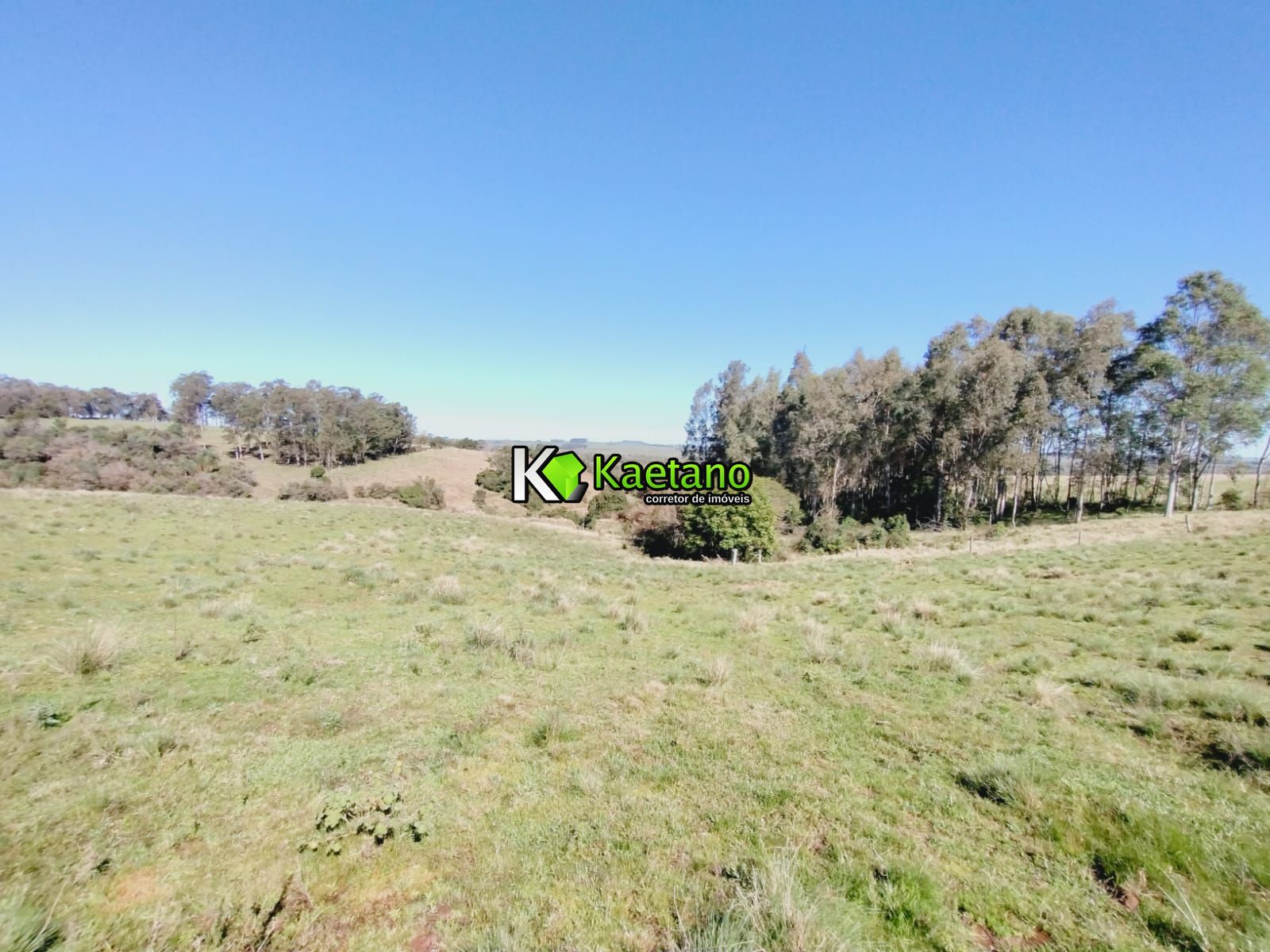 Chácara, 3 quartos, 12 hectares - Foto 19