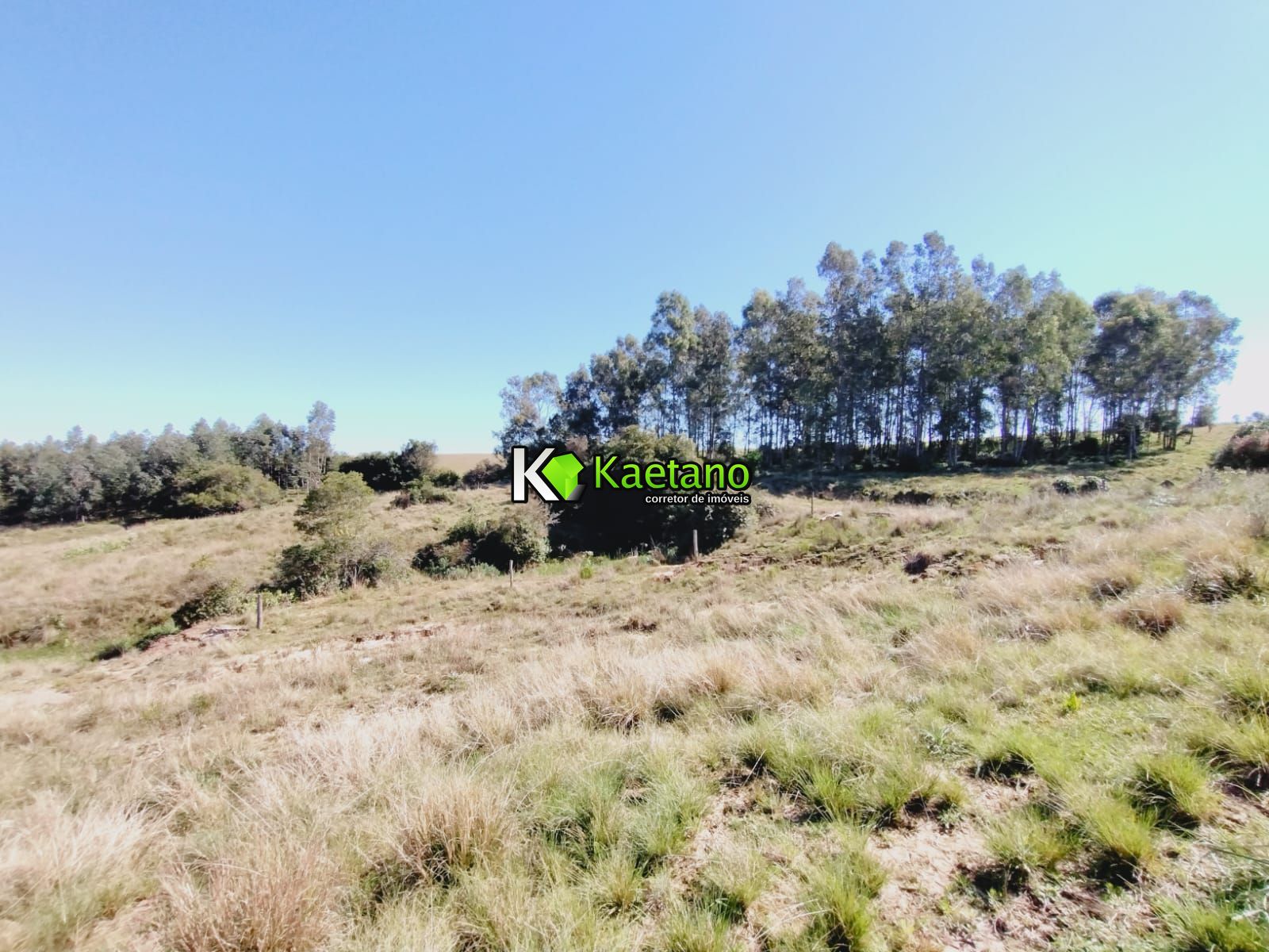 Chácara, 3 quartos, 12 hectares - Foto 28