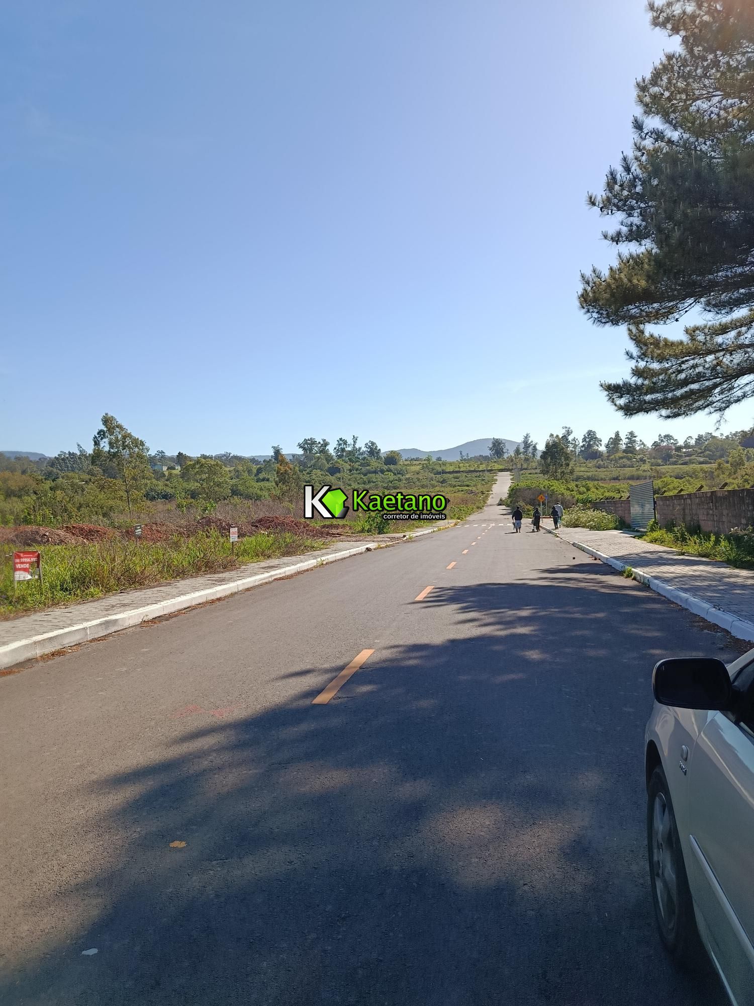 Terreno, 2275 m² - Foto 7