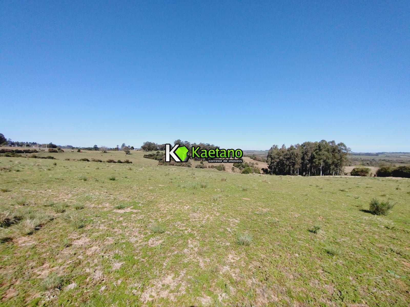 Chácara, 3 quartos, 12 hectares - Foto 18