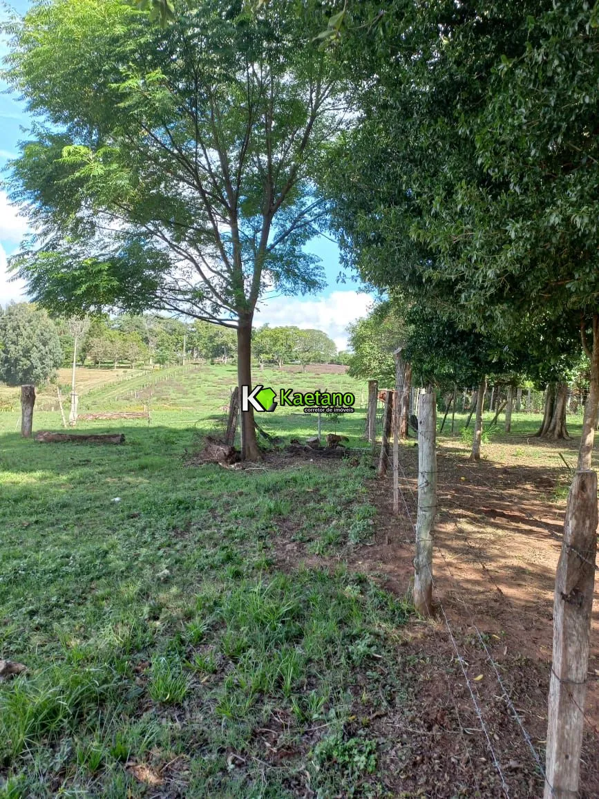 Chácara, 2 quartos, 5 hectares - Foto 18