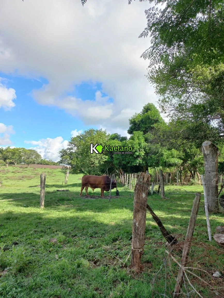 Chácara, 2 quartos, 5 hectares - Foto 27