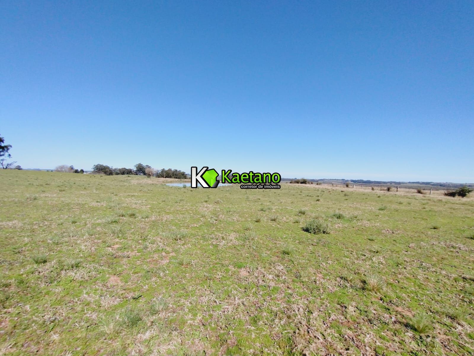 Chácara, 3 quartos, 12 hectares - Foto 21