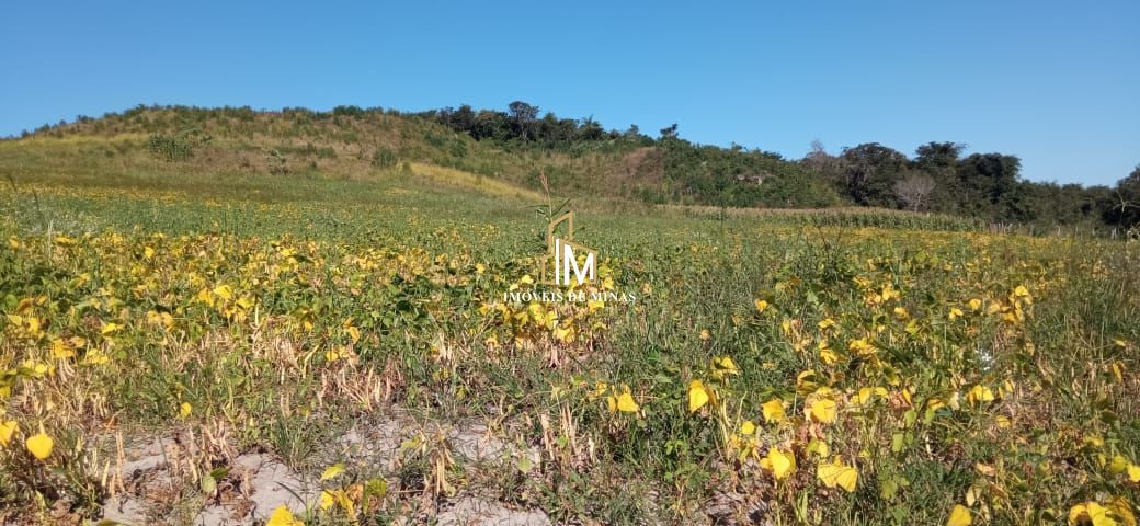 img30675041