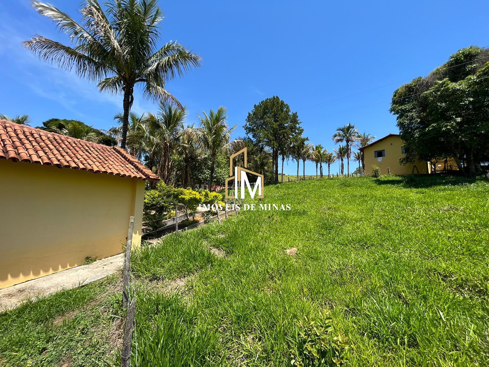 Fazenda à venda com 7 quartos, 14600000000m² - Foto 5