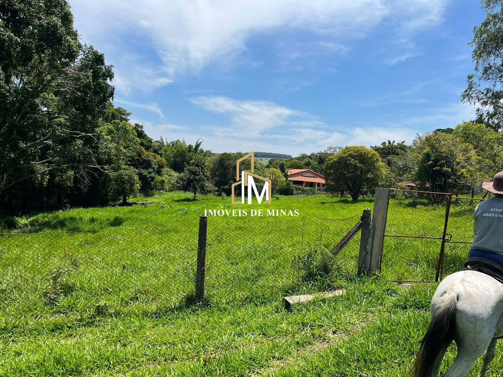 Fazenda à venda com 7 quartos, 14600000000m² - Foto 21