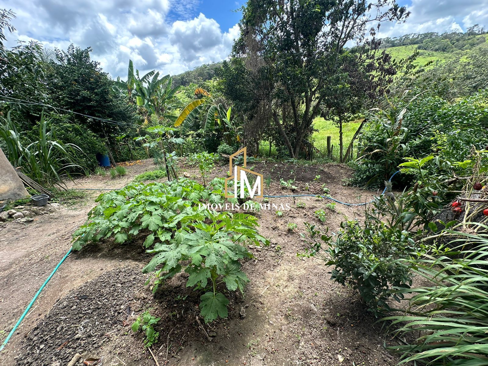 Fazenda à venda com 3 quartos, 27000m² - Foto 11