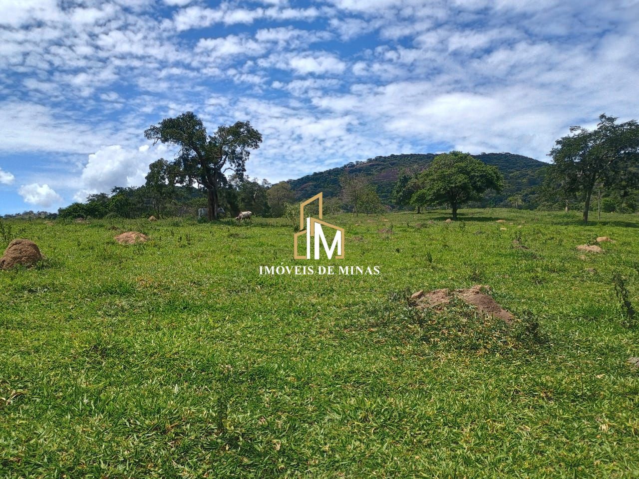 Fazenda à venda com 3 quartos, 270000m² - Foto 13