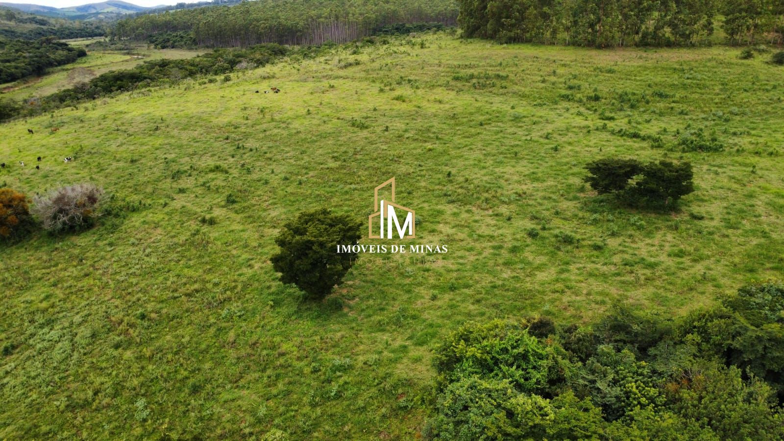 Fazenda à venda com 1 quarto, 380000m² - Foto 11