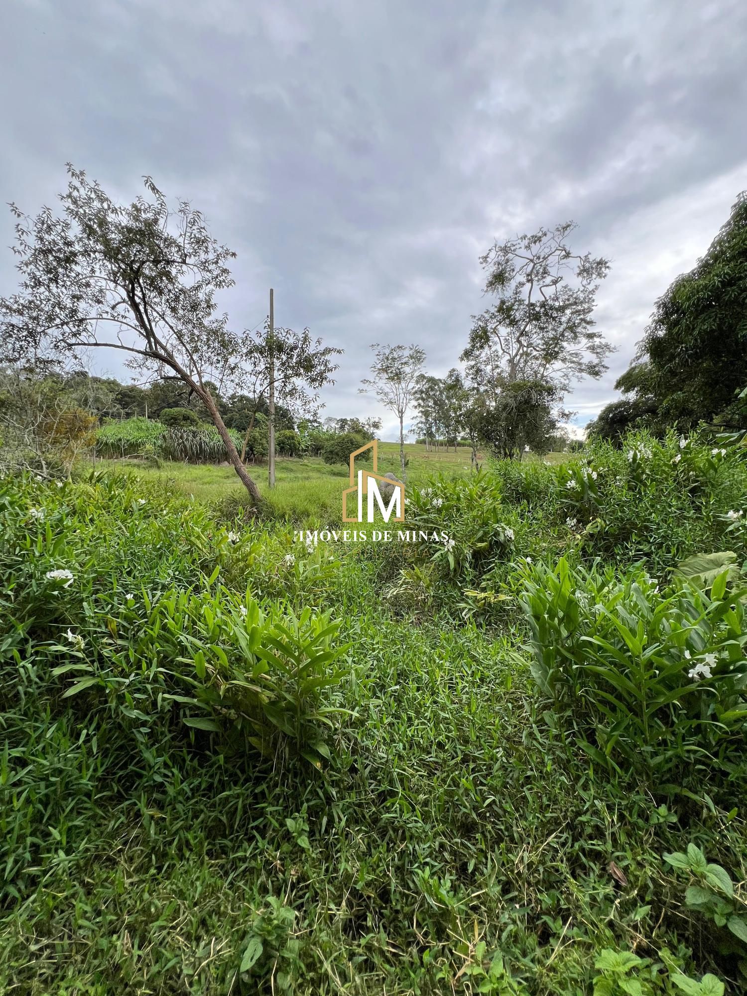 Fazenda à venda com 3 quartos, 19000m² - Foto 25