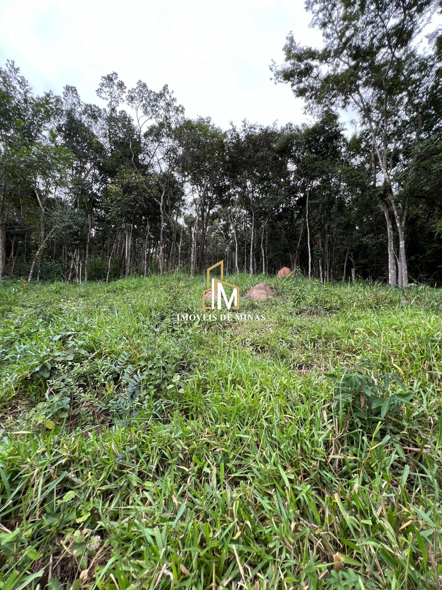 Fazenda à venda com 3 quartos, 19000m² - Foto 16