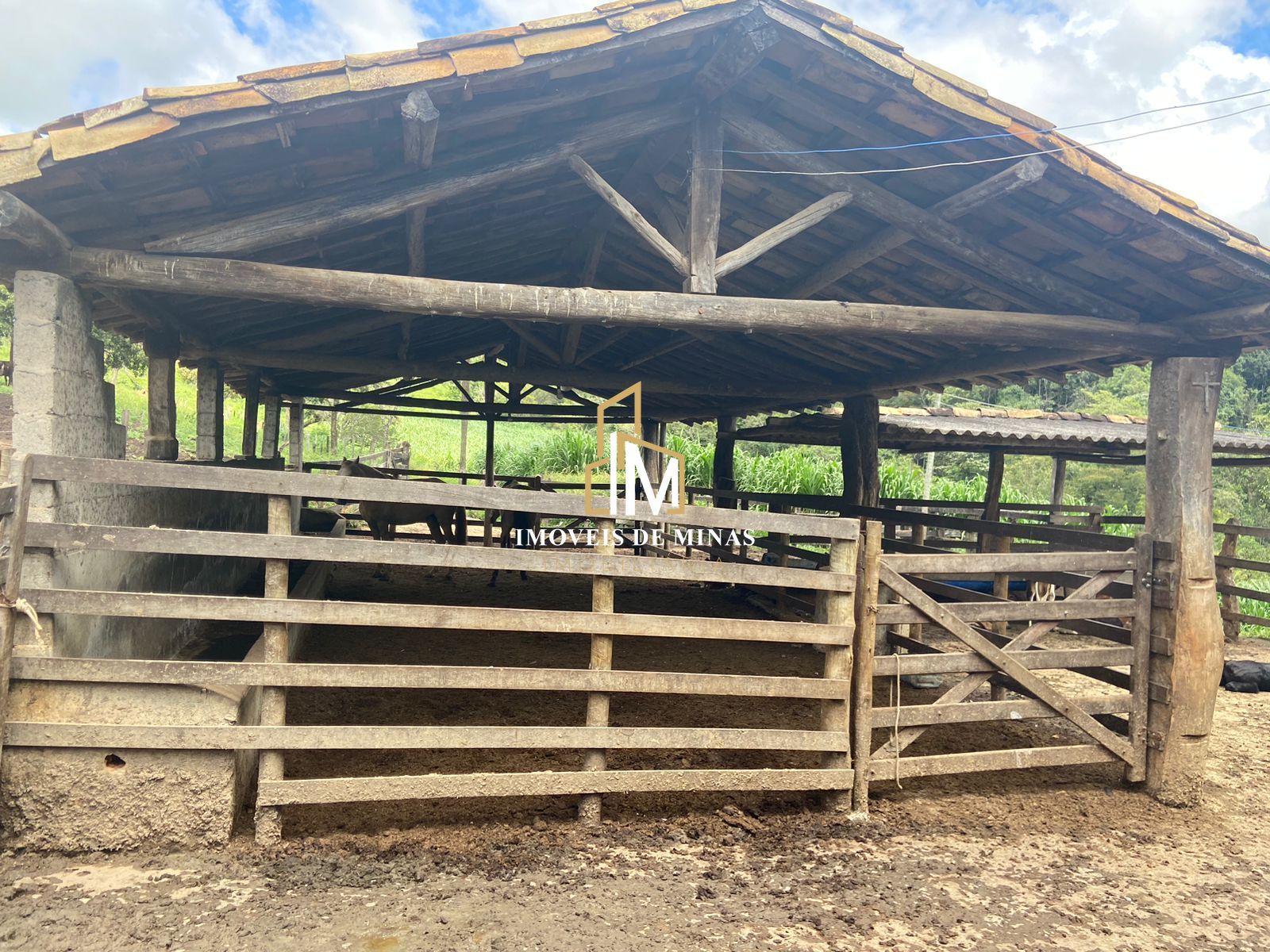 Fazenda à venda com 4 quartos, 1500000000m² - Foto 22