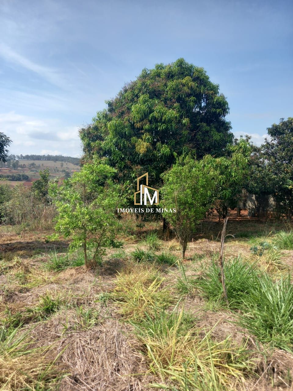 Chácara à venda com 2 quartos, 2514m² - Foto 15
