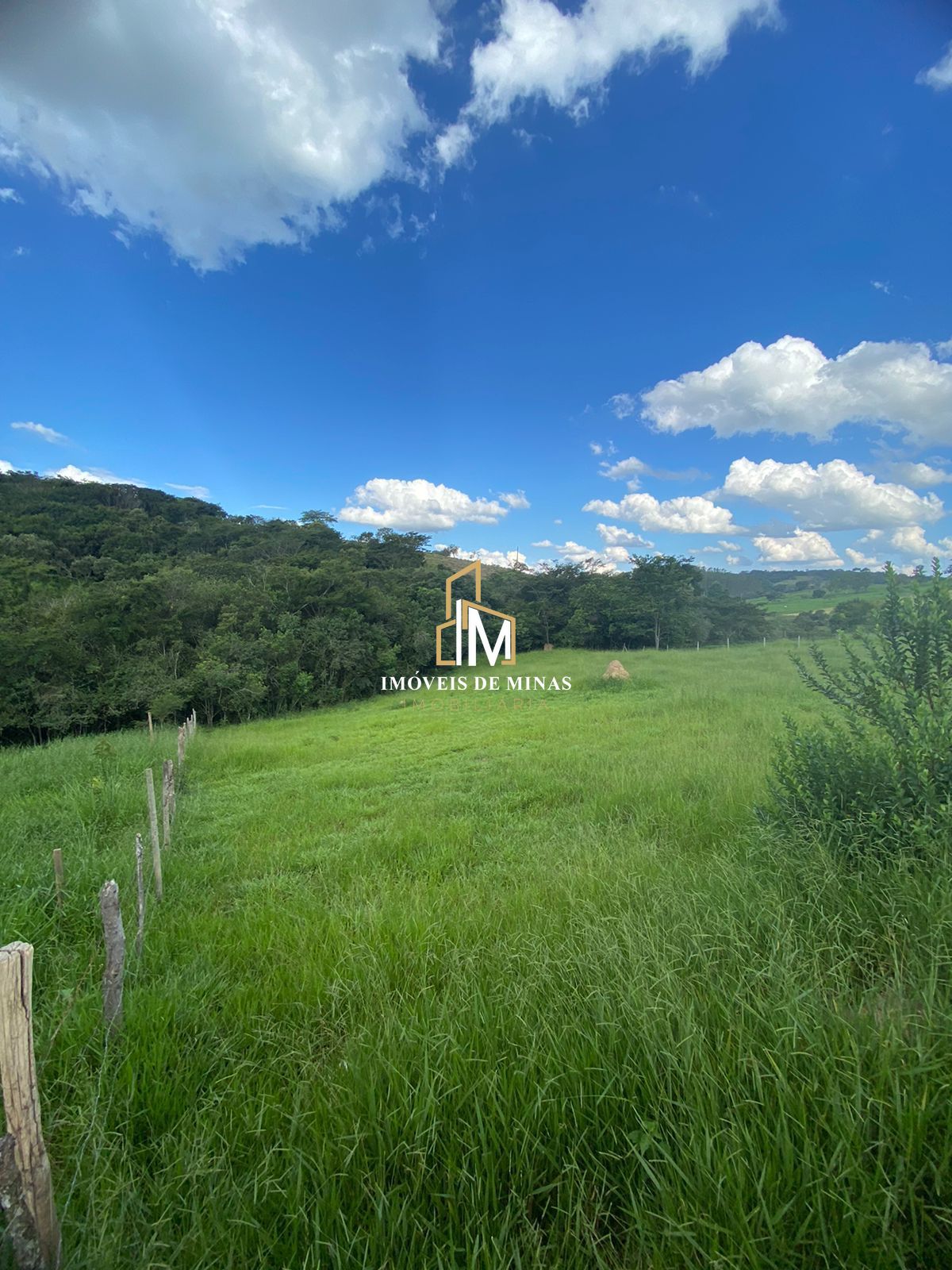 Terreno à venda, 3000m² - Foto 4