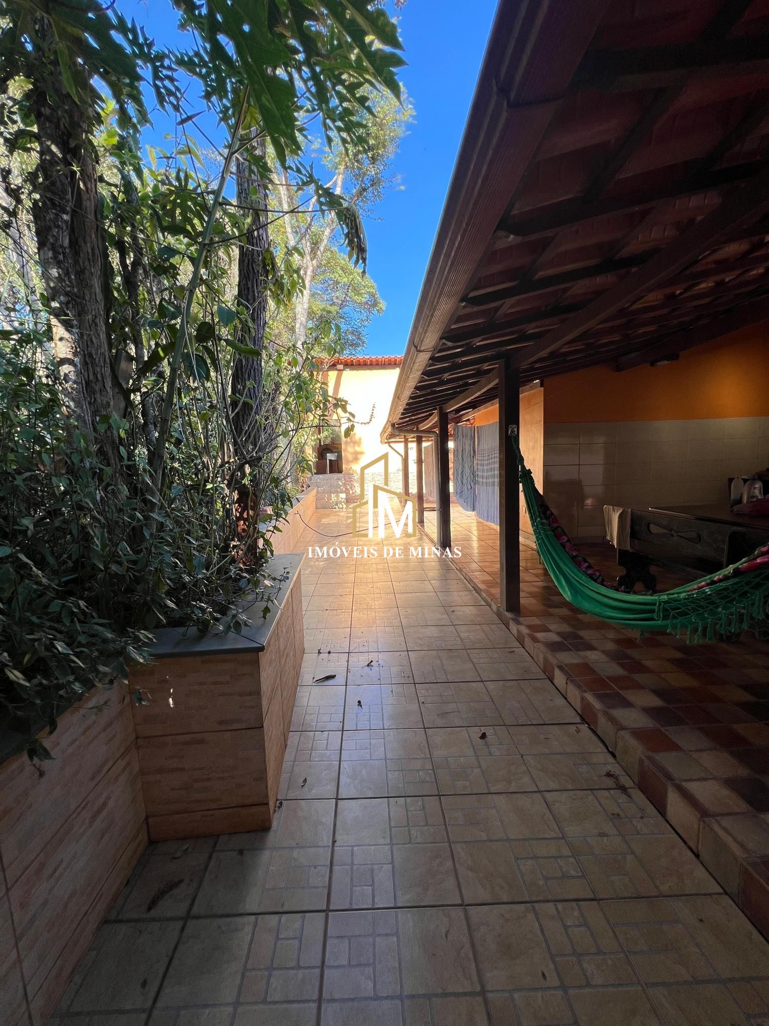 Fazenda à venda com 5 quartos, 2800m² - Foto 12