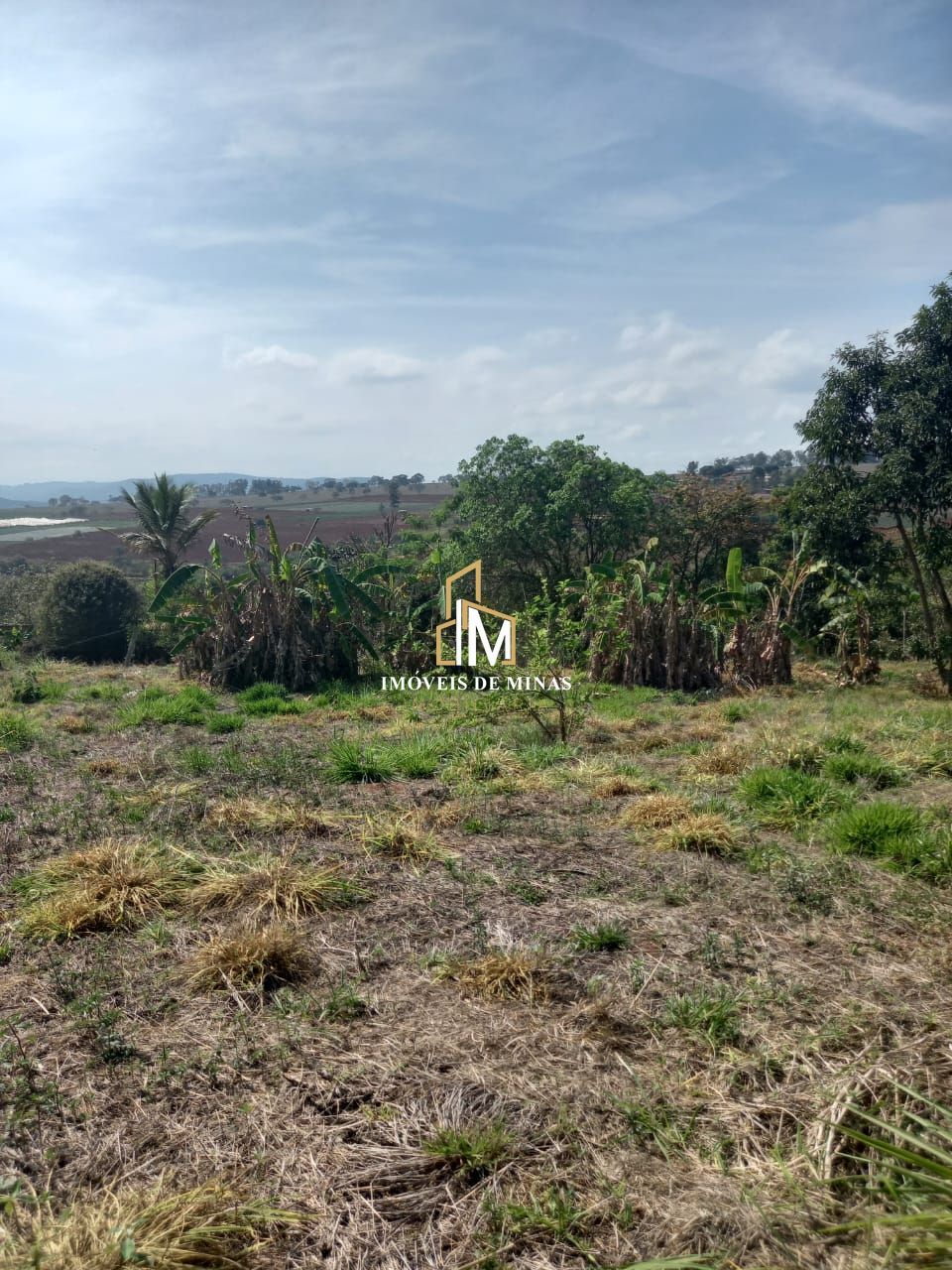 Chácara à venda com 2 quartos, 2514m² - Foto 13