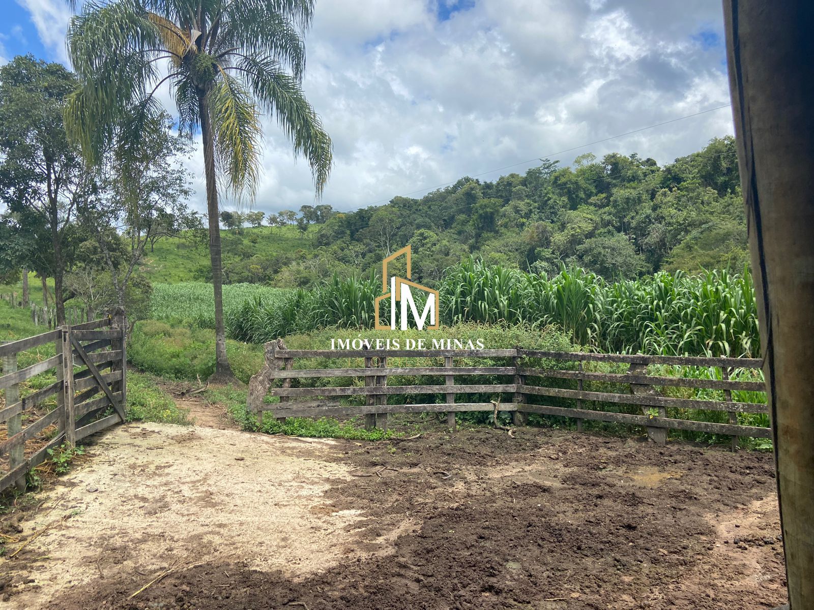 Fazenda à venda com 4 quartos, 1500000000m² - Foto 32