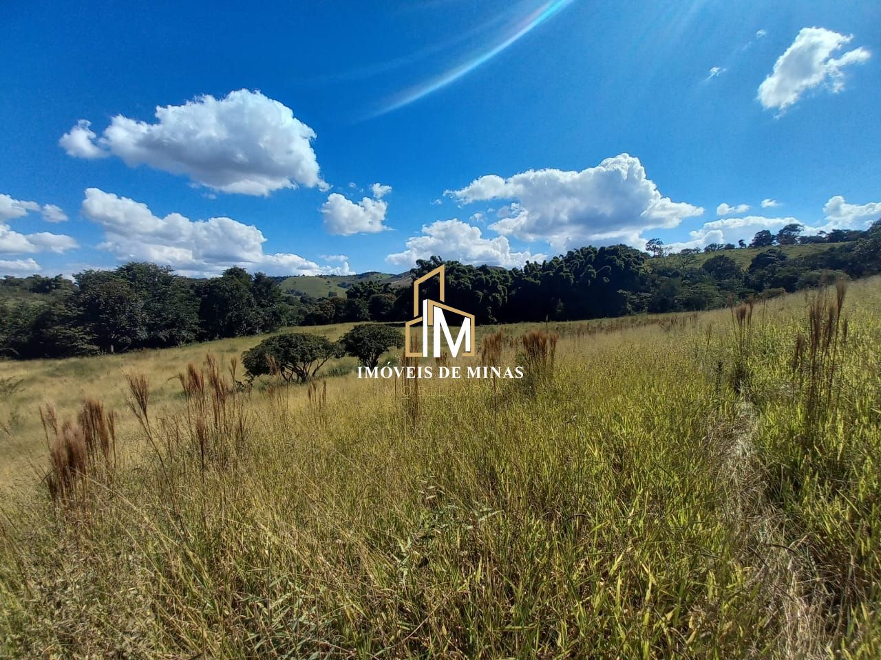 Fazenda à venda com 3 quartos, 80000m² - Foto 12