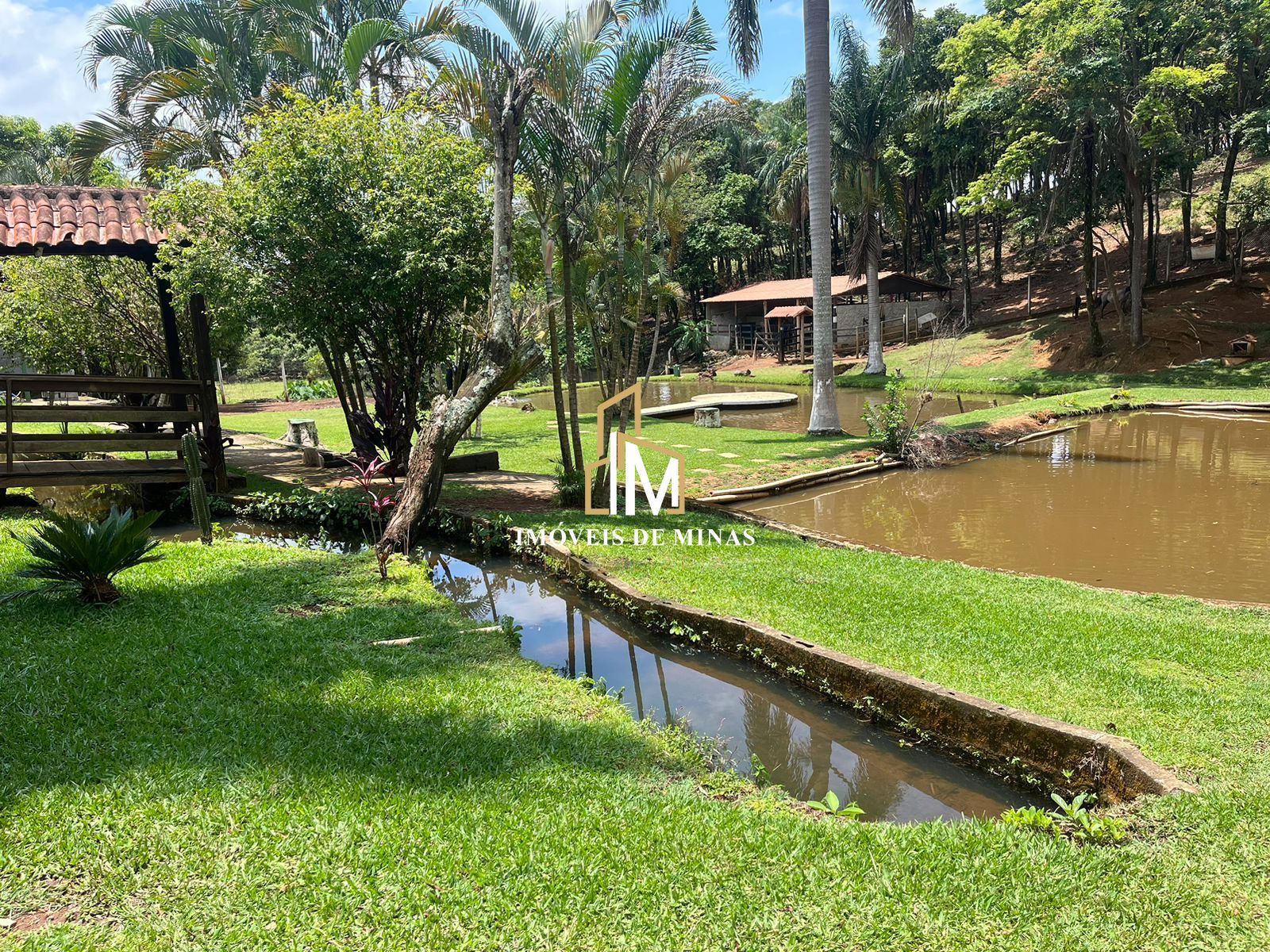 Fazenda à venda com 4 quartos, 16000m² - Foto 5