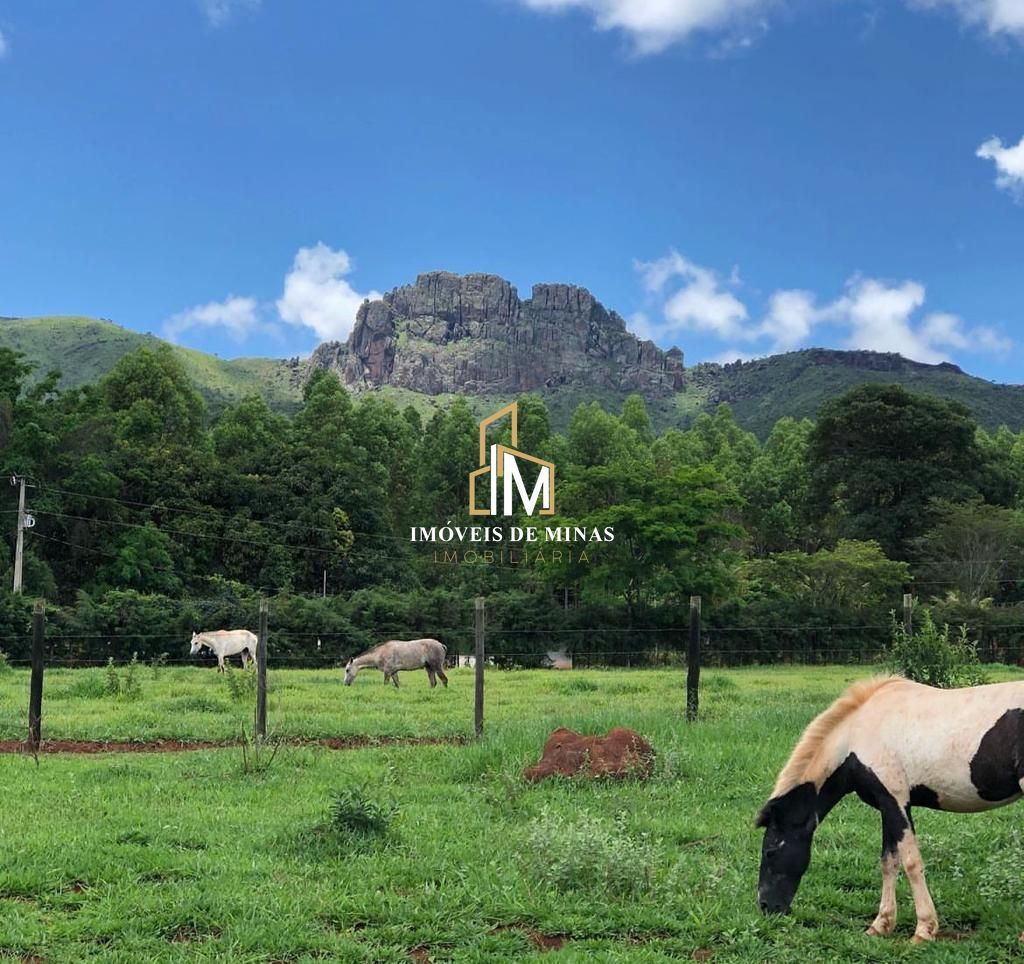 Fazenda à venda com 4 quartos, 16000m² - Foto 13