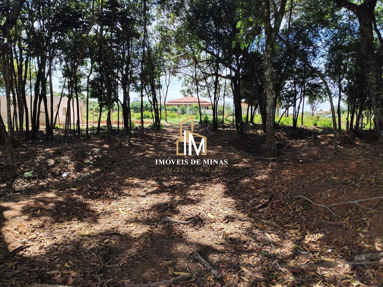 Fazenda à venda com 2 quartos, 1800m² - Foto 9
