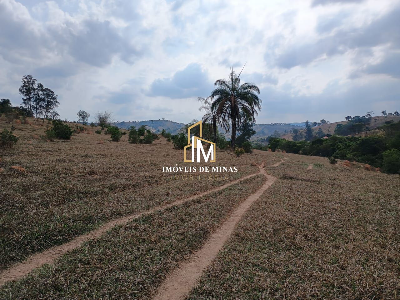 Fazenda à venda com 3 quartos, 780000m² - Foto 9