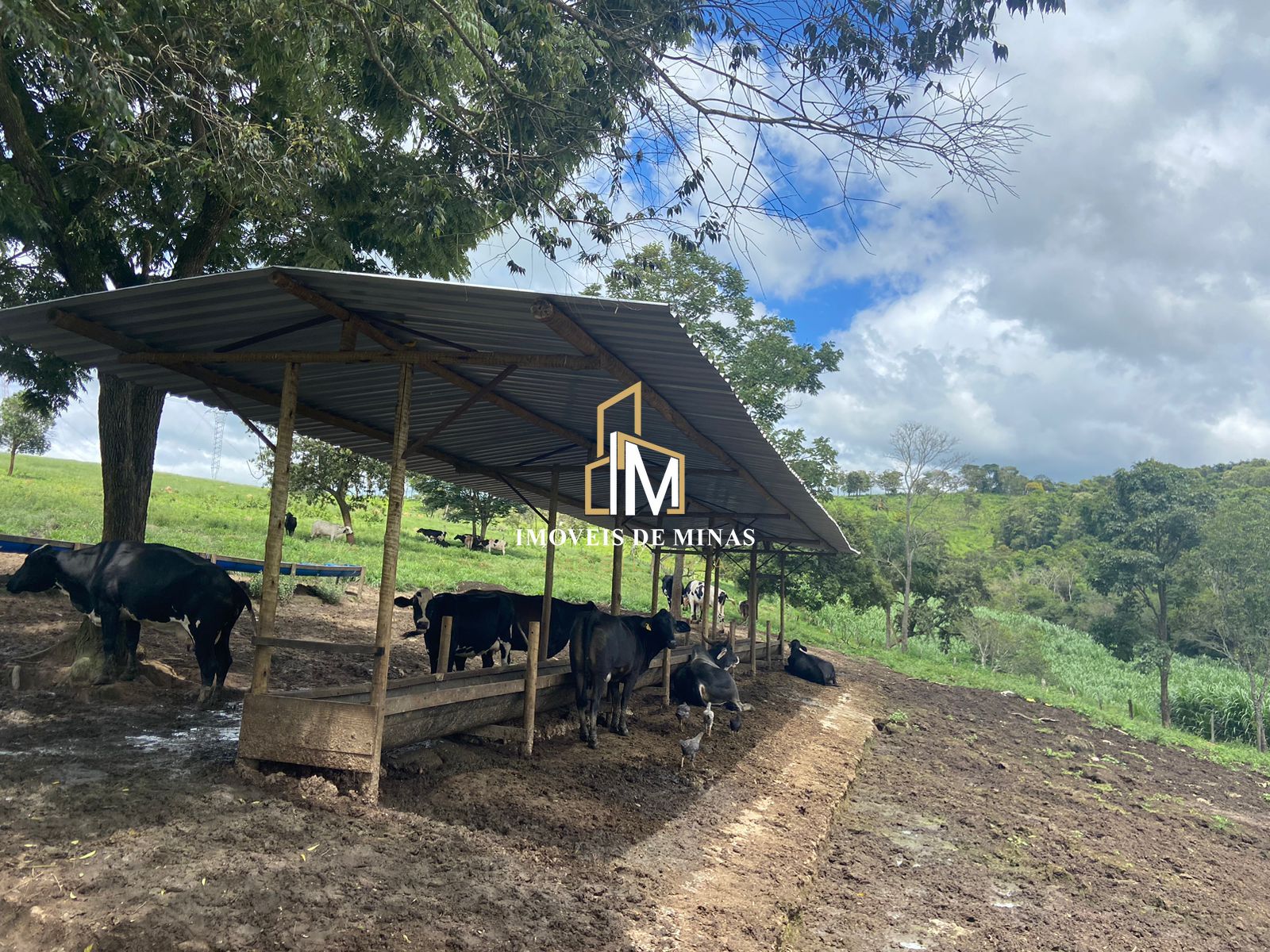 Fazenda à venda com 4 quartos, 1500000000m² - Foto 21