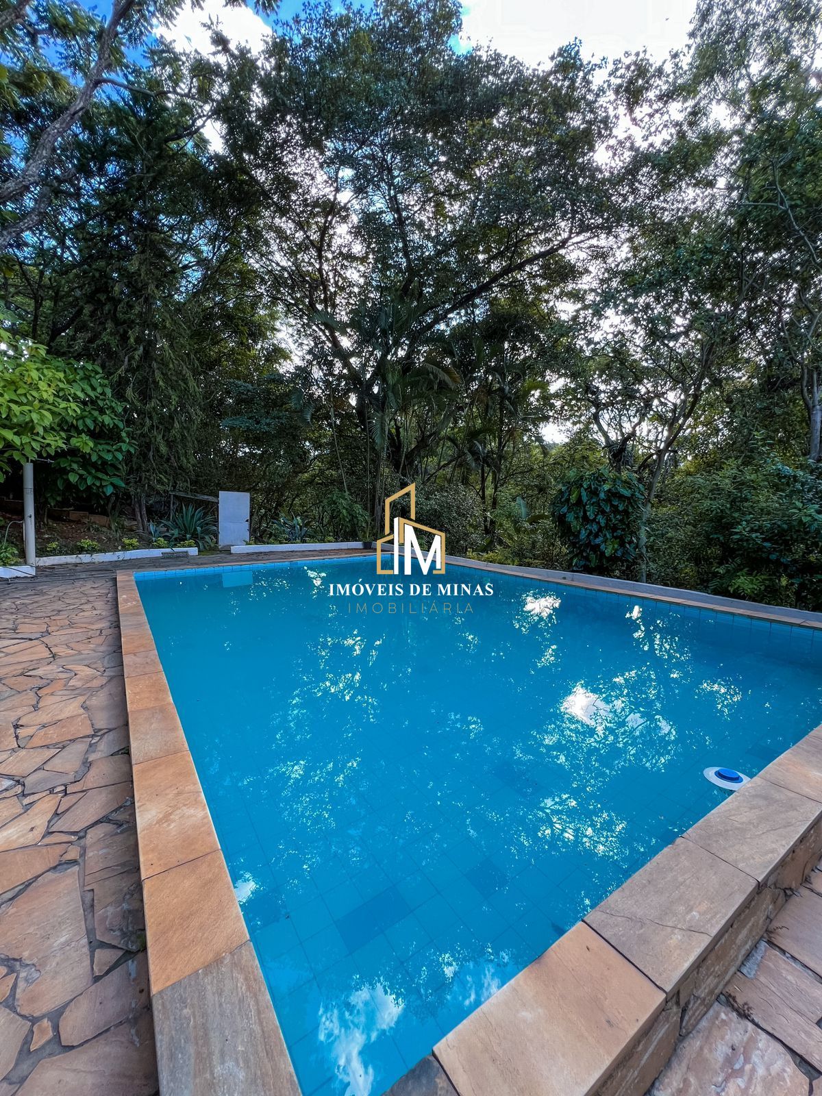 Sítio à venda com 4 quartos, 12000m² - Foto 17