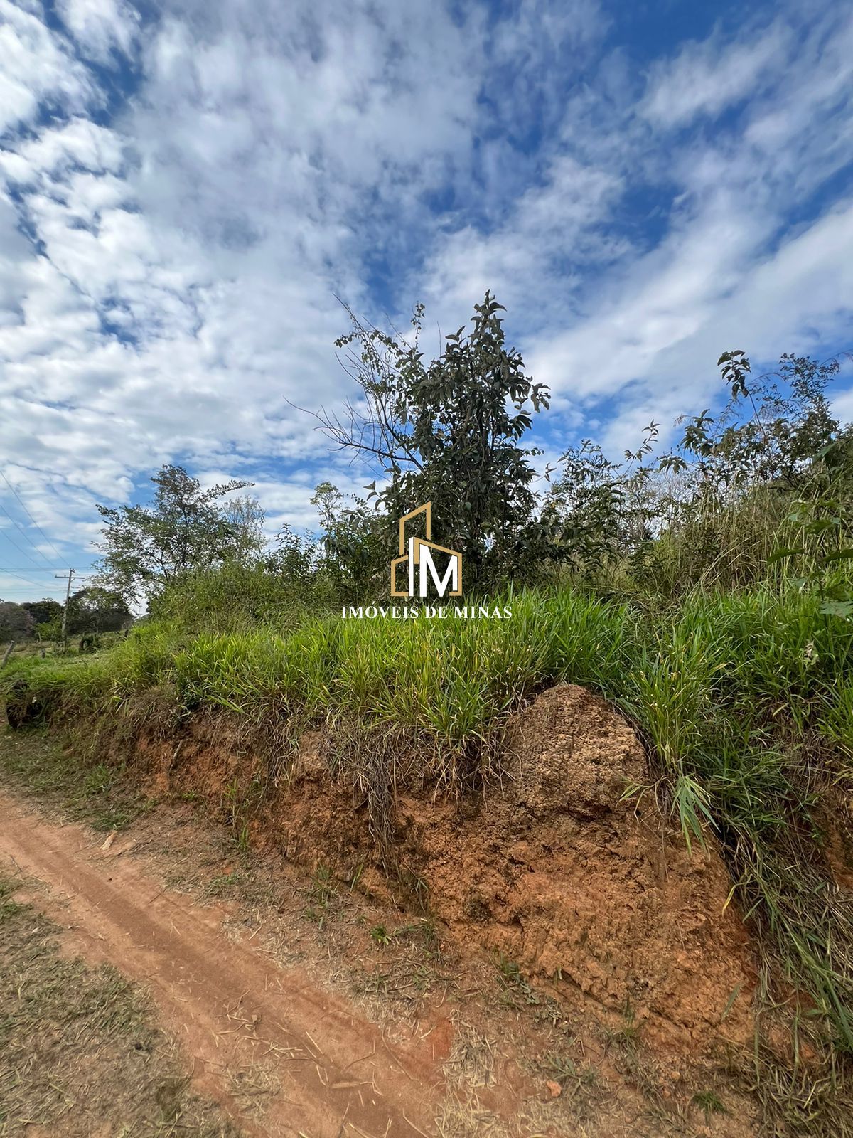 Terreno à venda, 8000m² - Foto 2