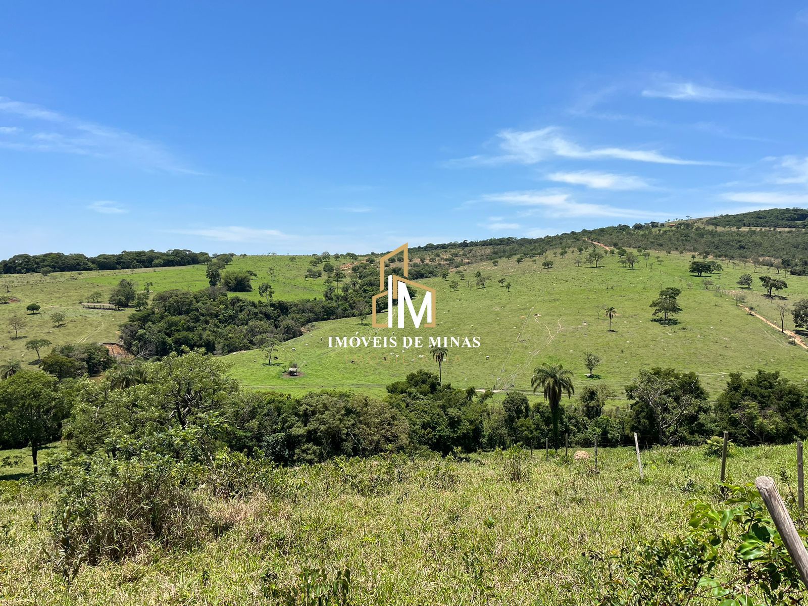 Fazenda à venda com 7 quartos, 14600000000m² - Foto 26