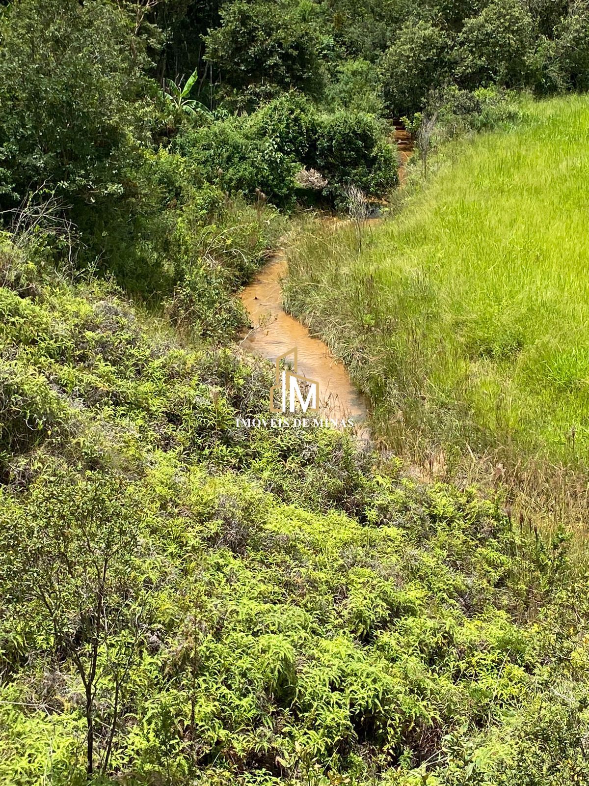 Terreno à venda, 1000m² - Foto 6