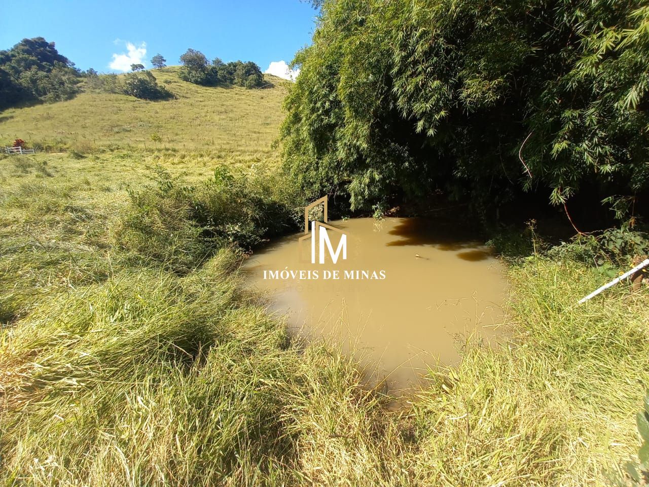 Fazenda à venda com 3 quartos, 80000m² - Foto 11
