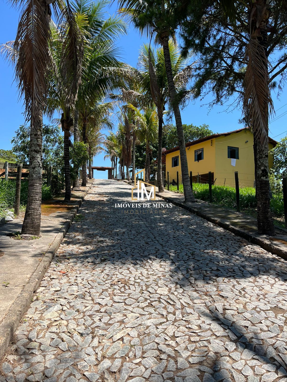 Fazenda à venda com 7 quartos, 14600000000m² - Foto 1