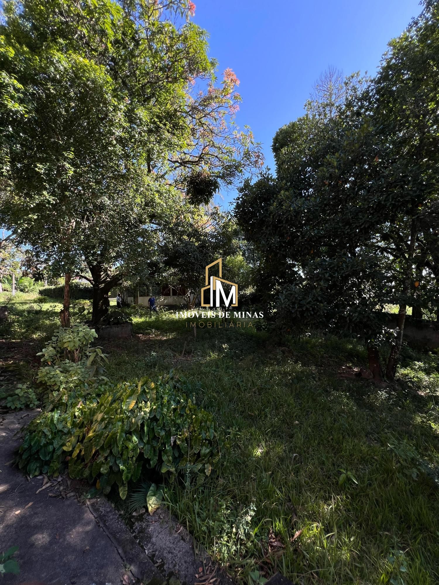 Sítio à venda com 4 quartos, 6259m² - Foto 12