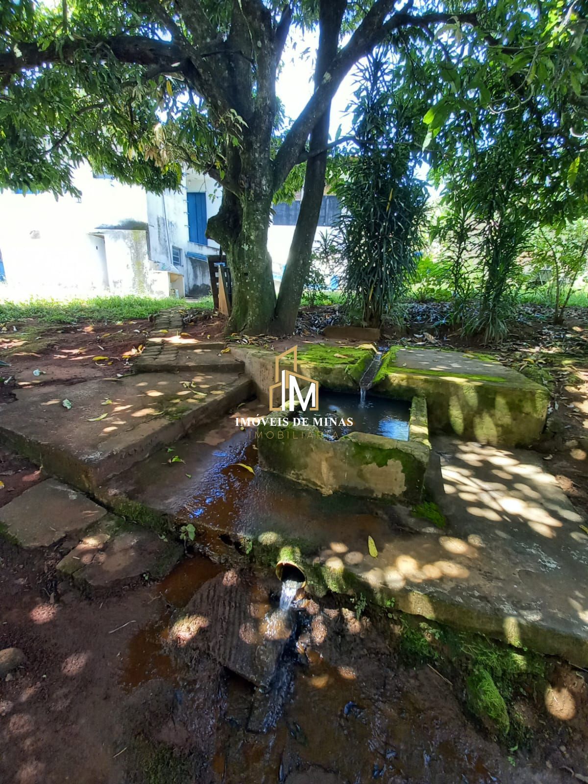 img30779696