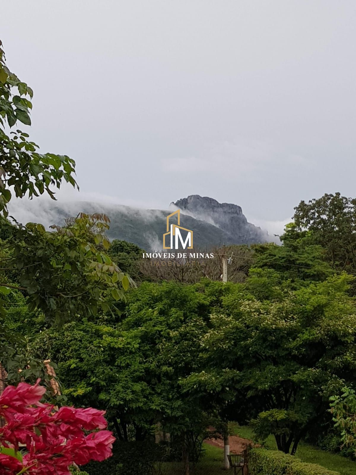 img30909717