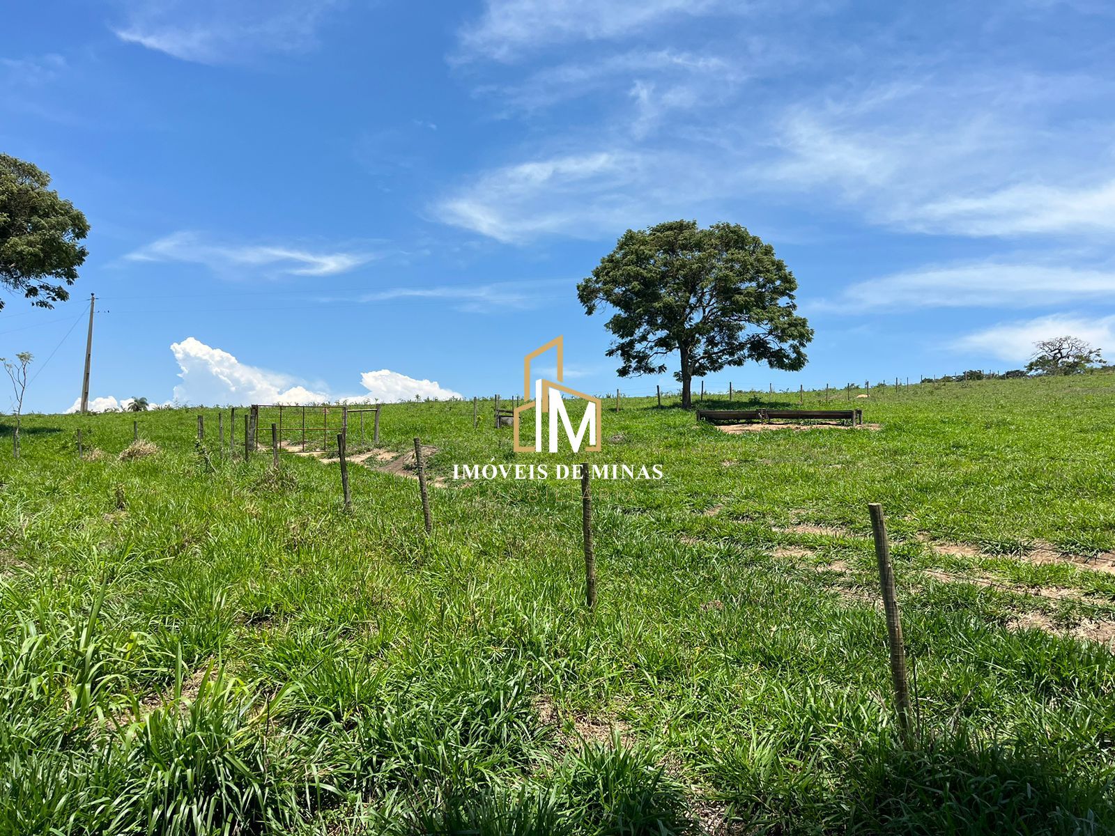 Fazenda à venda com 7 quartos, 14600000000m² - Foto 27