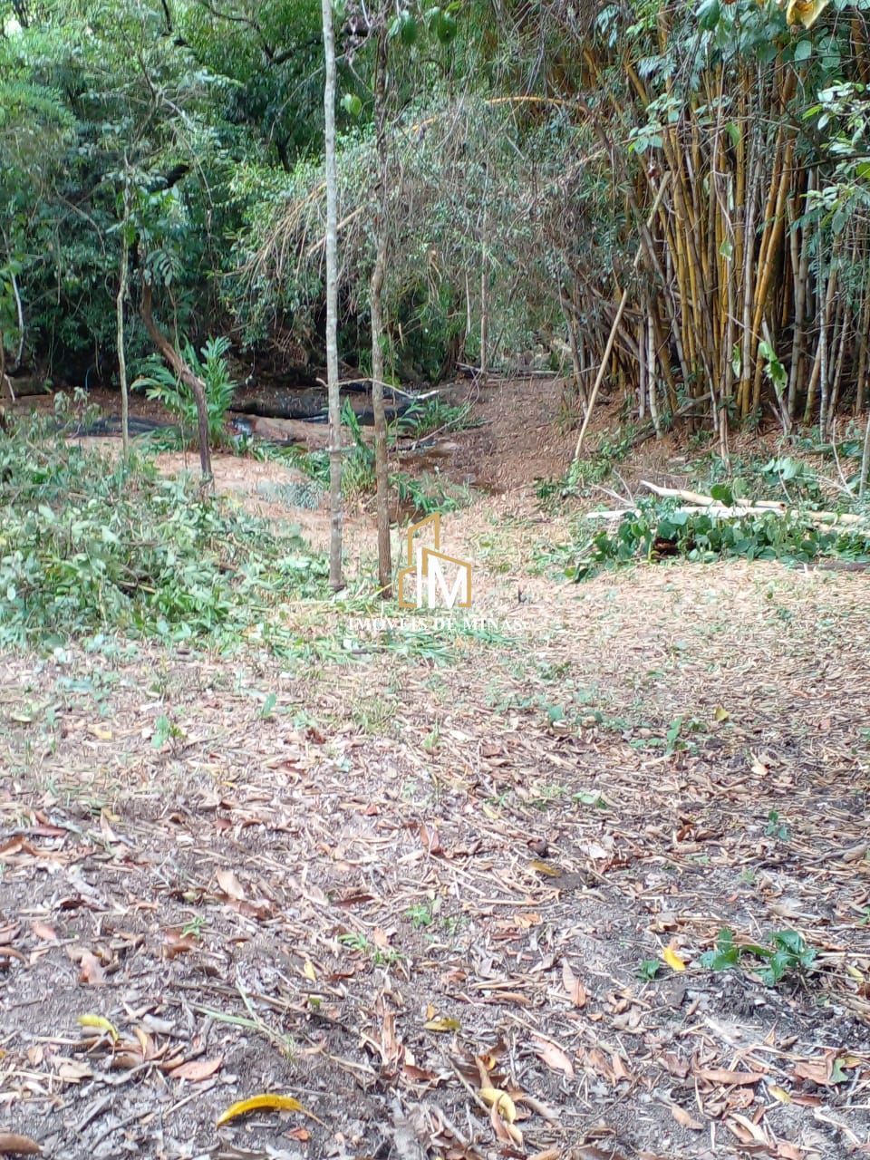 Lote/Terreno de 5000m² no bairro Serra Azul, em Mateus Leme | Eu Corretor