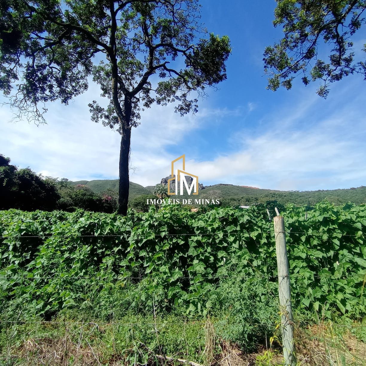 img30297990