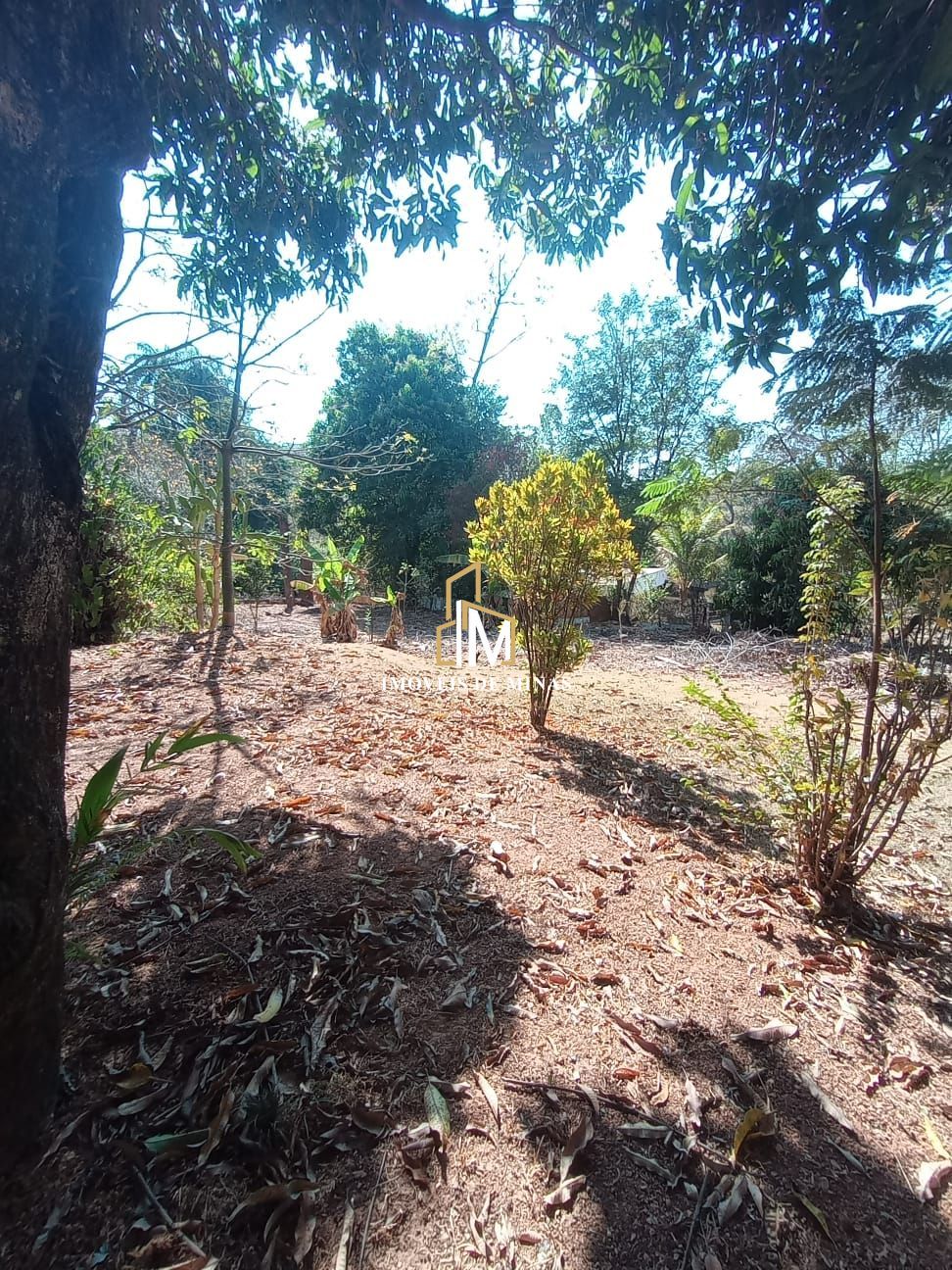 Lote/Terreno de 1000m² no bairro Zona Rural, em Igarapé | Eu Corretor