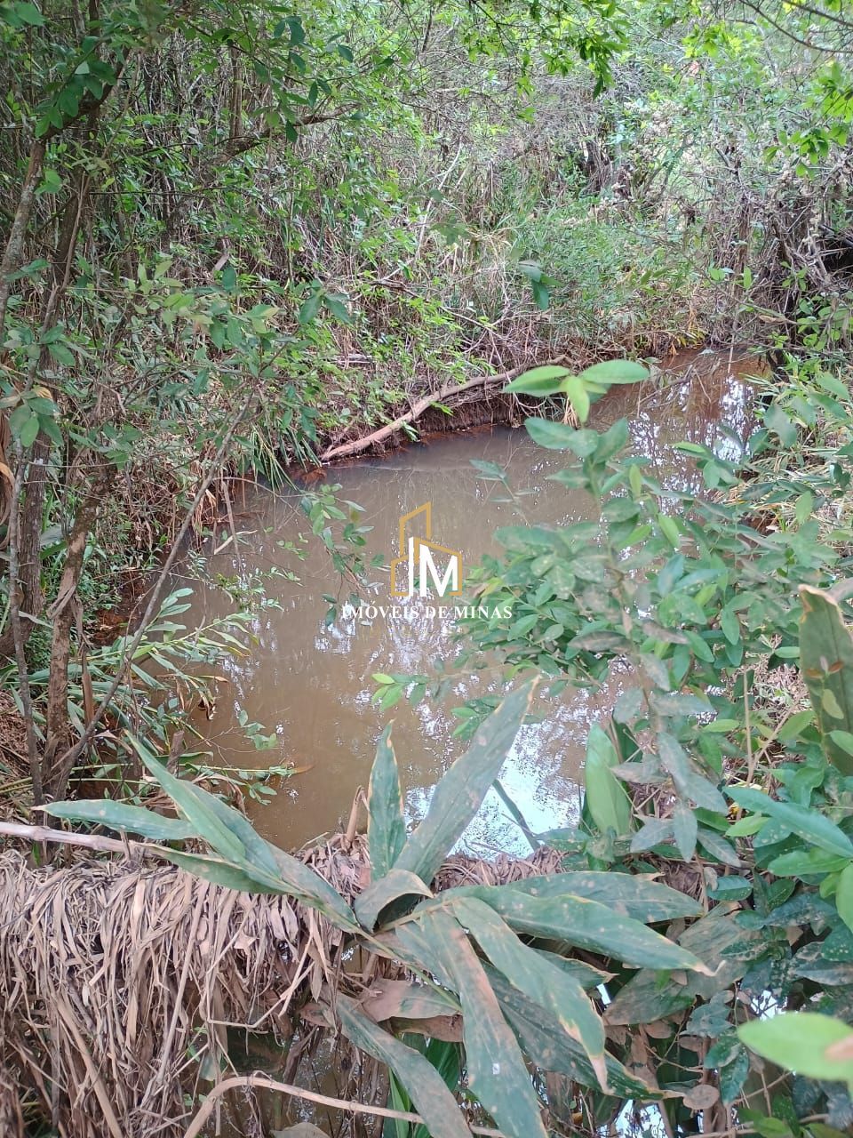 Fazenda à venda com 3 quartos, 780000m² - Foto 11