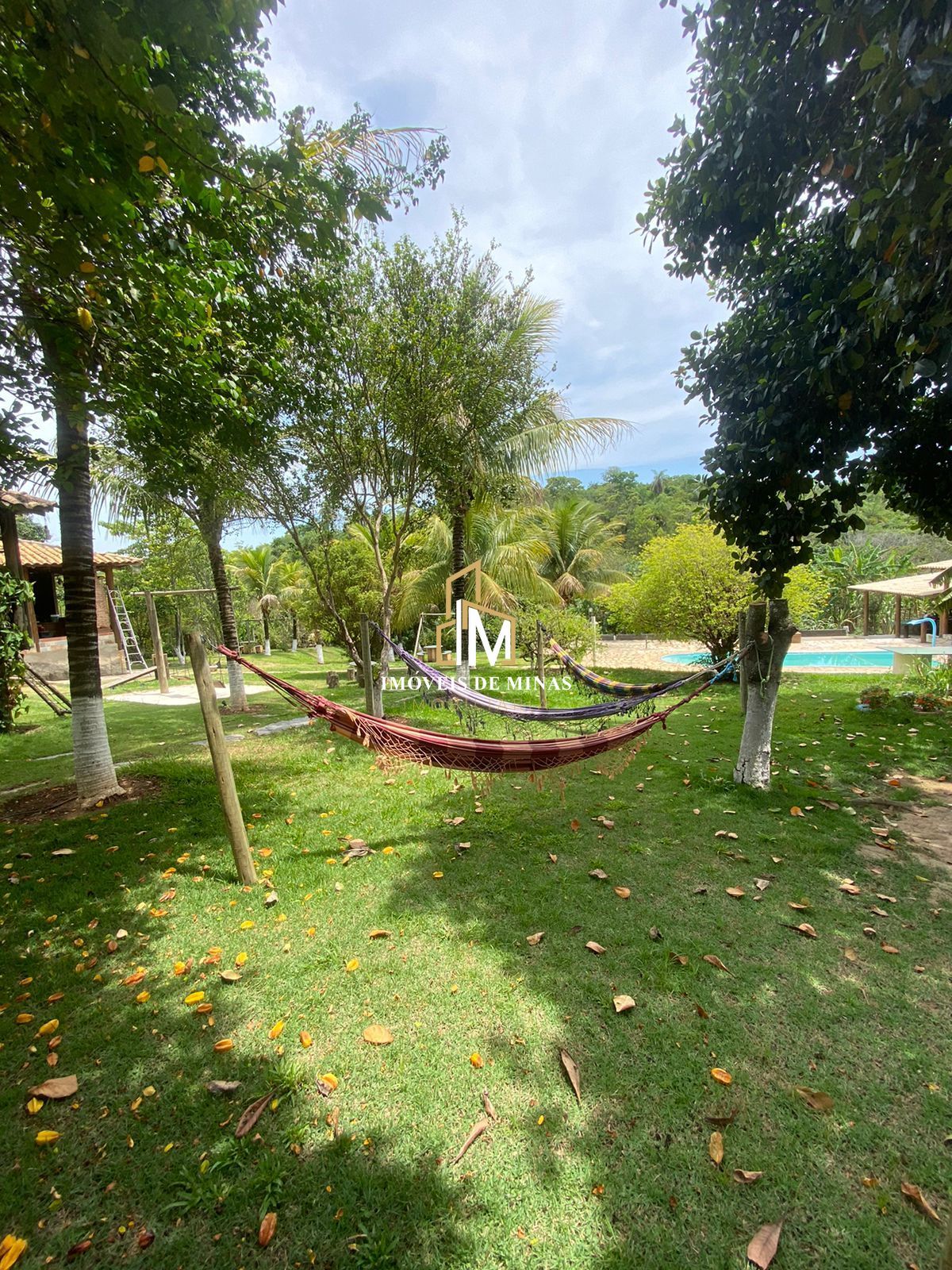 img35475784