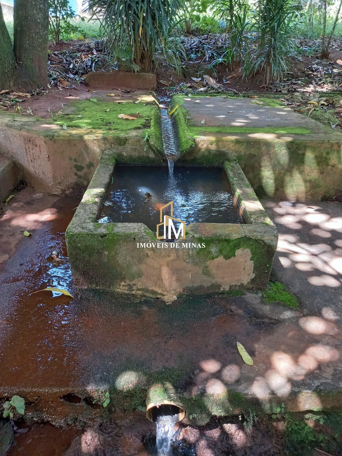 img30779699