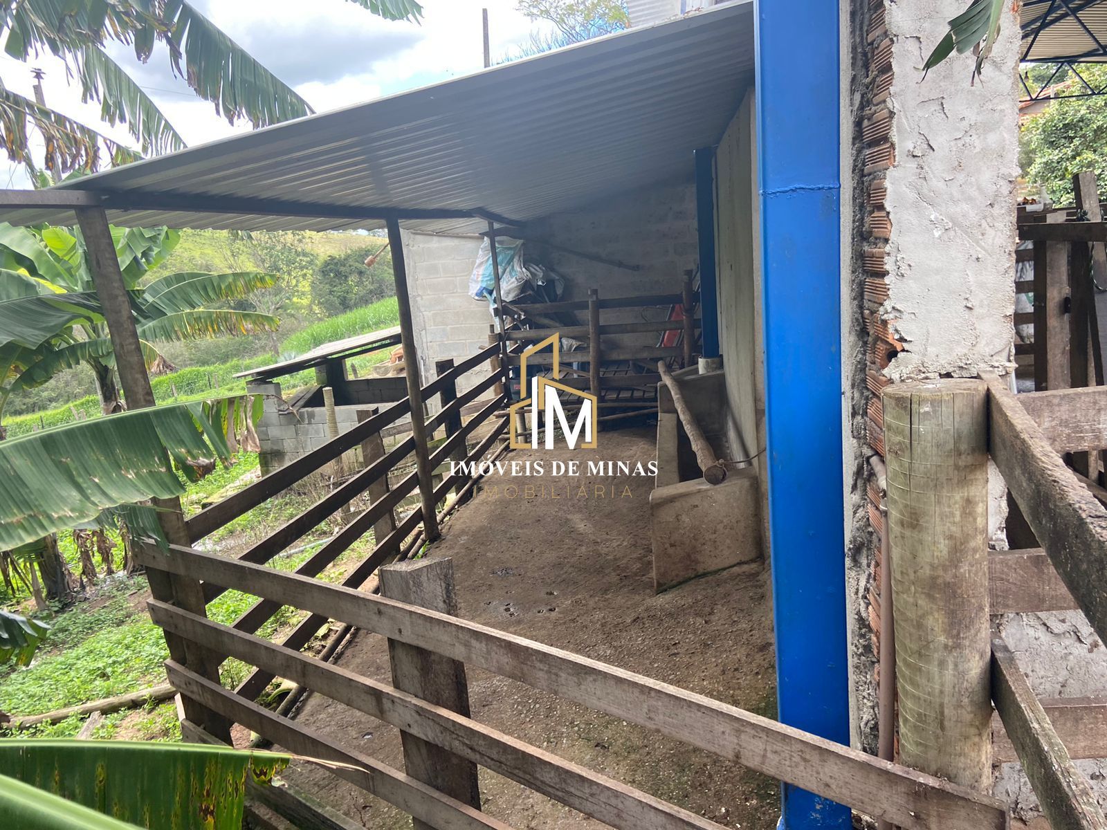 Fazenda à venda com 4 quartos, 1500000000m² - Foto 23