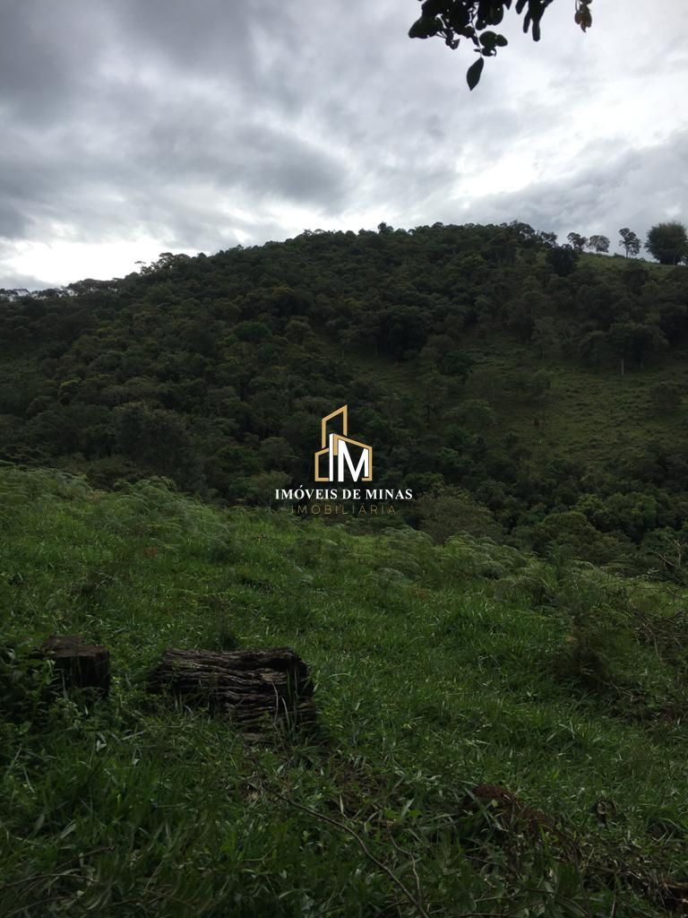 img30935397