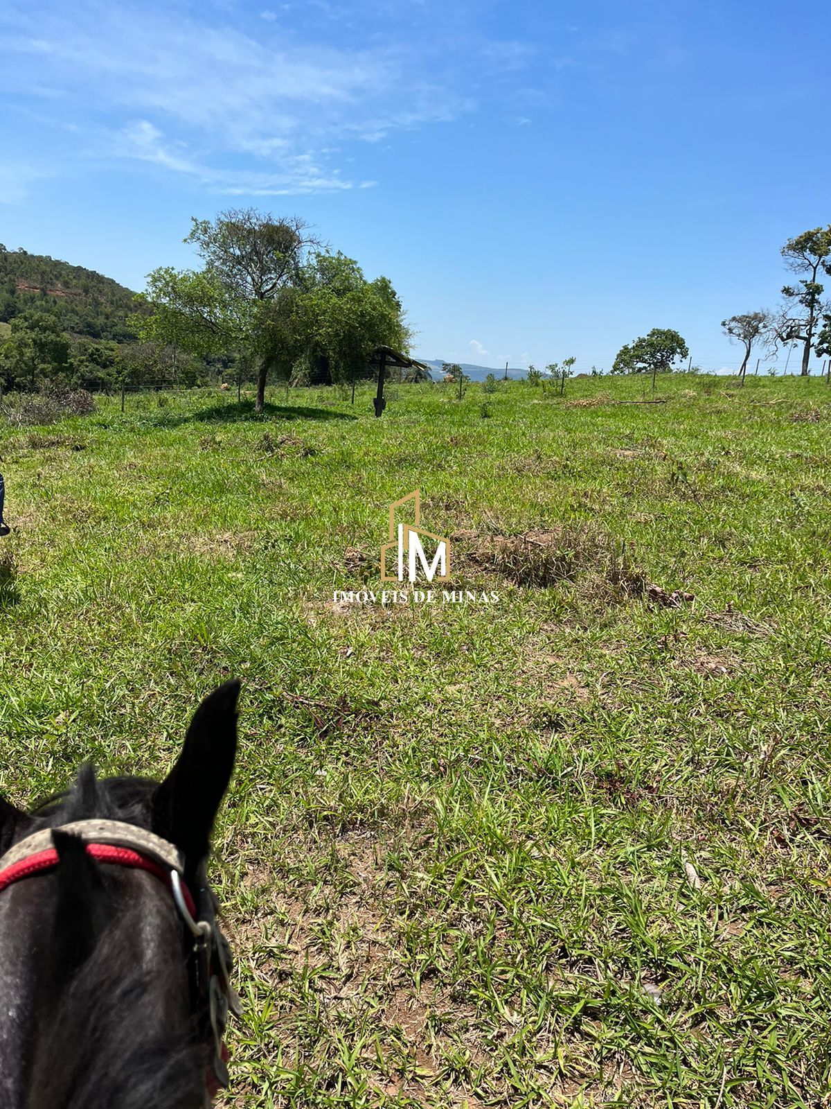 Fazenda à venda com 7 quartos, 14600000000m² - Foto 19