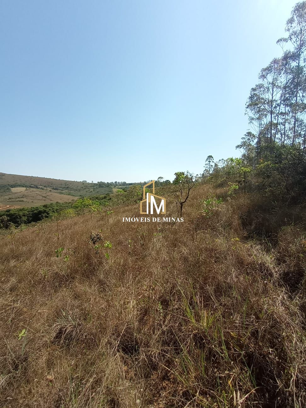 img33048076