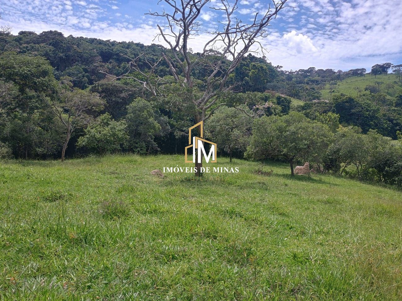 Fazenda à venda com 3 quartos, 270000m² - Foto 10