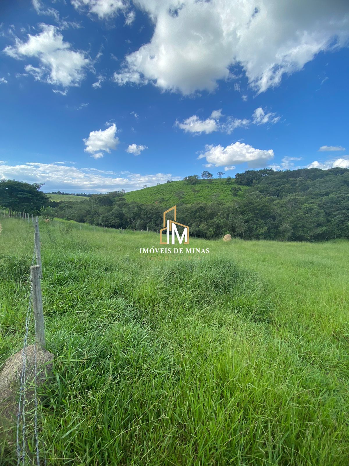 Terreno à venda, 3000m² - Foto 5